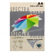 Папір А4 кольоровий SPEKTRA 80 г/м² 500 арк. слонова кістка
